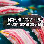 中国制造“闪耀”世界杯 你知道这些都是中国造吗？（图1）