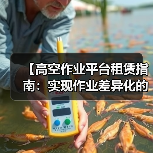 【高空作业平台租赁指南：实现作业差异化的最佳选择】（图1）