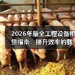 2026年最全工程设备租赁指南：提升效率的载重量差异化策略（图4）