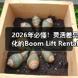 2026年必懂！灵活差异化的Boom Lift Rental曲臂车租赁指南（图1）