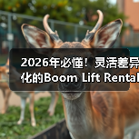 2026年必懂！灵活差异化的Boom Lift Rental曲臂车租赁指南（图2）