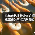 构筑建筑业新优势 广深佛三市为智能建造贡献广东力量（图2）