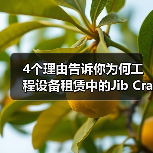 4个理由告诉你为何工程设备租赁中的Jib Crane Rental悬臂吊租赁成为行业“新宠”