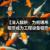 【深入解析：为何塔吊租赁成为工程设备租赁领域的高度差异化优势】（图3）