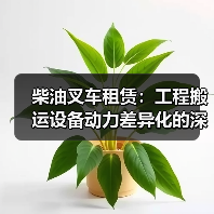 柴油叉车租赁：工程搬运设备动力差异化的深度解析（图2）