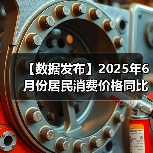 【数据发布】2025年6月份居民消费价格同比上涨0.1%（图4）
